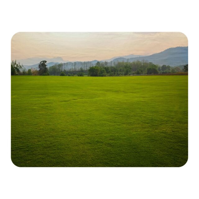 Benjamin Tate Design image of lush grass field Designer Blanket in Natural - Size: 120 cm x 150 cm - image 1