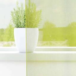 Berkfield Home Voile Curtains with Grommets 2 pcs Apple Green 140x245 cm