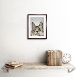 "Artery8 Wall Art Print Cat Grey Art Framed 9x7 inch in Brown - Size: W7"" x H9""" - thumbnail 2