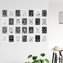 "Artery8 Wall Art Print 50 Pcs Botanical Aesthetic Haeckel Nature Black White Collage Kit s A6 Set Pack 15x10 cm (6x4"") Bedroom Wall Home Bathroom" - thumbnail 4