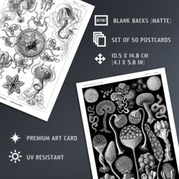 "Artery8 Wall Art Print 50 Pcs Botanical Aesthetic Haeckel Nature Black White Collage Kit s A6 Set Pack 15x10 cm (6x4"") Bedroom Wall Home Bathroom" - thumbnail 5