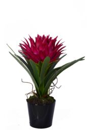 Orsina Fiori Pink Tropical Plant with Black Ceramic Pot