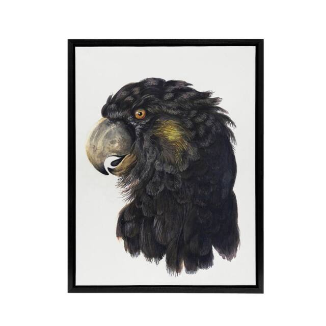 "Artery8 Cockatoo Parrot Head Schouman Watercolour Framed Canvas Wall Art Print in White - Size: W24"" x H32""" - image 1