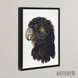 "Artery8 Cockatoo Parrot Head Schouman Watercolour Framed Canvas Wall Art Print in White - Size: W24"" x H32""" - thumbnail 2