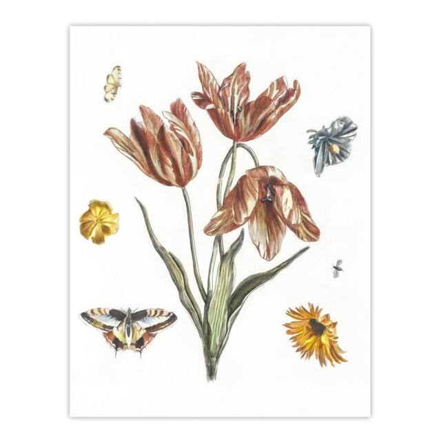 "Artery8 Flowers Butterflies & A Fly Johan Teyler Wall Art Poster Print in White - Size: W24"" x H32""" - image 1