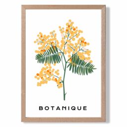 ARTZE Yellow Mimosa Plant Flower Market Spring Framed Print SIZE: A3 with Oak Frame - Size: A4