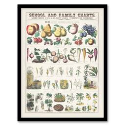 Artery8 Willson & Calkins School & Family Charts No XXI Framed Art Print in White - Size: A3 - thumbnail 1