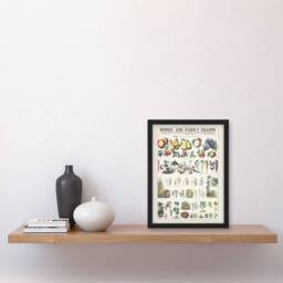 Artery8 Willson & Calkins School & Family Charts No XXI Framed Art Print in White - Size: A3 - thumbnail 2