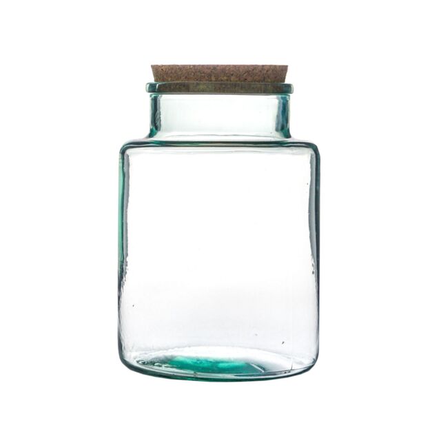 Ivyline Bottle Shape Large Terrarium DIY Kit H26.5cm W19cm- Perfect for gifting in Clear - image 1