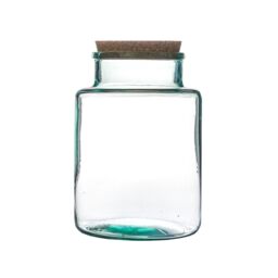 Ivyline Bottle Shape Large Terrarium DIY Kit H26.5cm W19cm- Perfect for gifting in Clear - thumbnail 1