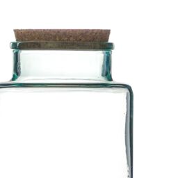 Ivyline Bottle Shape Large Terrarium DIY Kit H26.5cm W19cm- Perfect for gifting in Clear - thumbnail 3
