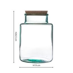 Ivyline Bottle Shape Large Terrarium DIY Kit H26.5cm W19cm- Perfect for gifting in Clear - thumbnail 4