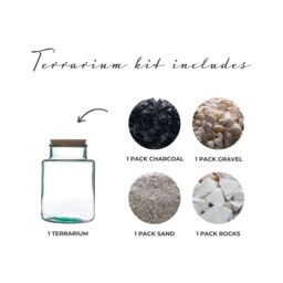 Ivyline Bottle Shape Large Terrarium DIY Kit H26.5cm W19cm- Perfect for gifting in Clear - thumbnail 2