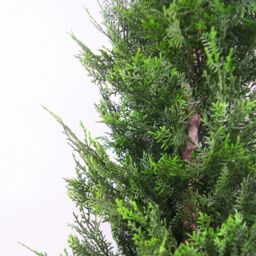Leaf 120cm Realistic Artificial Cypress Topiary in Green - thumbnail 4