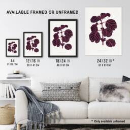 Artery8 AF Lydon B Fawcett Pink Achyranthes Verschaffeltii Framed Art Print in White - Size: A4 - thumbnail 3