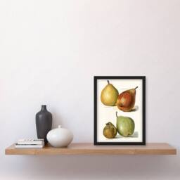 Artery8 Four Pear Varieties Vintage Illustration Wright Framed Wall Art Print in White - Size: A4 - thumbnail 4