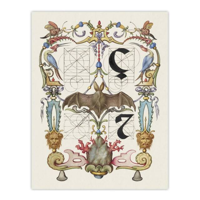 "Artery8 Pictoral Letter Guide with Bat Calligraphy Wall Art Poster Print in White - Size: W24"" x H32""" - image 1