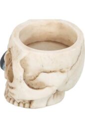 KDMD Skull Tealight Holder with Snake in Cream - thumbnail 4