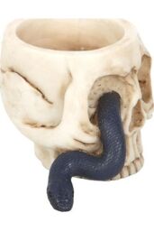 KDMD Skull Tealight Holder with Snake in Cream - thumbnail 3