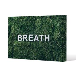 Benjamin Tate Design Wellness Breath (Canvas Print) / 152 x 101 x 4cm in Natural - Size: 152 x 101 x 4 cm - thumbnail 1