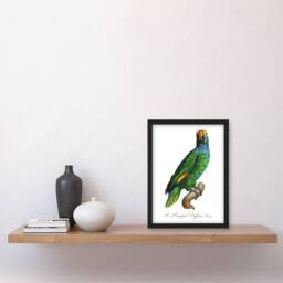 Artery8 The Blue Cheeked Amazon Parrot Levaillant Framed Wall Art Print in White - Size: A4 - thumbnail 4