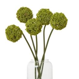 Sostter Fresh Green Allium Stem for Home Styling - thumbnail 3