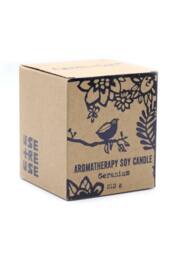 KDMD Agnes Cat Herb Garden Candle Geranium Terracotta Pot - thumbnail 2