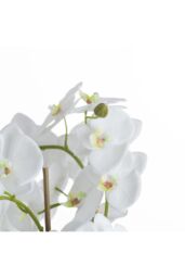 Hill Interiors Orchid & Fern Garden in White - thumbnail 2