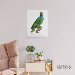 "Artery8 The Blue Cheeked Amazon Parrot Levaillant Canvas Wall Art Print in White - Size: W12"" x H16""" - thumbnail 3