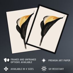 Artery8 Elegant Calla Lily Flower Bloom Black Gold Floral Framed Wall Art - Size: A4 - thumbnail 2