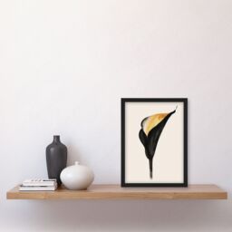 Artery8 Elegant Calla Lily Flower Bloom Black Gold Floral Framed Wall Art - Size: A4 - thumbnail 4