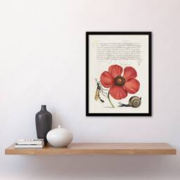 Artery8 Poppy Snail & Crane Fly Calligraphy Framed Wall Art Print in White - Size: A4 - thumbnail 4