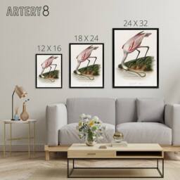 "Artery8 Roseate Spoonbill Couaihac Vintage Black Framed Canvas Wall Art in White - Size: W12"" x H16""" - thumbnail 4