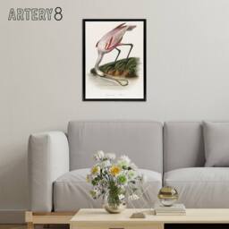 "Artery8 Roseate Spoonbill Couaihac Vintage Black Framed Canvas Wall Art in White - Size: W12"" x H16""" - thumbnail 3