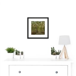 Artery8 La Fargue Herepad In The Hague Forest Landscape 8X8 Inch Square Wooden Framed Wall Art Print Picture with Mount in Black - thumbnail 2