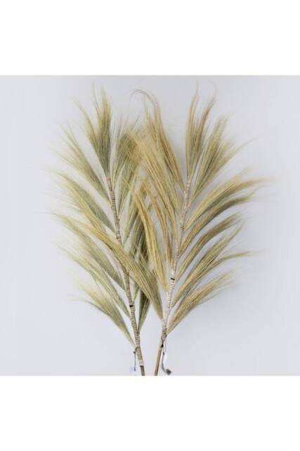 KDMD Rayung Grass Blond 2m - Handcrafted Dried Braided Decor Bali in Natural - image 1
