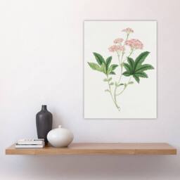 "Artery8 Shimotsuke Flower Wall Art Print Vintage Japanese Botanical in Pink - Size: W18"" x H24""" - thumbnail 4