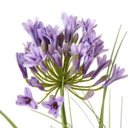 Lemon Pavilion Furniture and Decor Purple Agapanthus Plant in Pot - Plastic - Height 90 cm - Green - thumbnail 2