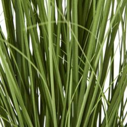 Lemon Pavilion Furniture and Decor Purple Agapanthus Plant in Pot - Plastic - Height 90 cm - Green - thumbnail 4