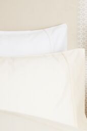 Belledorm Egyptian Cotton 200 Thread Count Housewife Pillowcase Pair in Light Green - thumbnail 2
