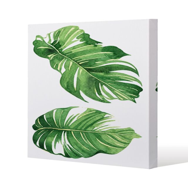 Benjamin Tate Design Twin Botanical Leaves (Canvas Print) / 101 x 101 x 4cm in Natural - Size: 101 x 101 x 4 cm - image 1
