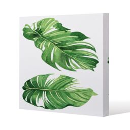 Benjamin Tate Design Twin Botanical Leaves (Canvas Print) / 101 x 101 x 4cm in Natural - Size: 101 x 101 x 4 cm - thumbnail 1
