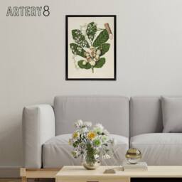 "Artery8 New Zealand Kohekohe Tree Flowers Featon Framed Canvas Wall Art Print in Beige - Size: W12"" x H16""" - thumbnail 3