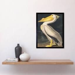 "Wee Blue Coo John James Audubon Style Pelican Bird Vintage 12x16"" Framed Art Print in Yellow - Size: W12"" x H16""" - thumbnail 2