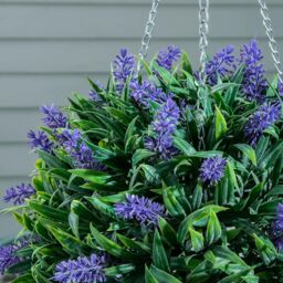 Marco Paul 30cm Hanging Artificial Flower Ball - Lavender in Green - thumbnail 8