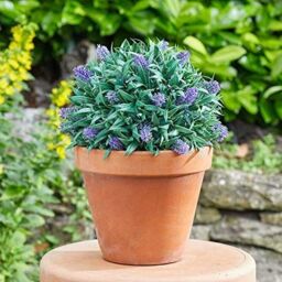 Marco Paul 30cm Hanging Artificial Flower Ball - Lavender in Green - thumbnail 7