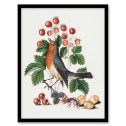 Artery8 Robin Bird & Wild Strawberry Plant Bolton Framed Wall Art Print in White - Size: A4 - thumbnail 1