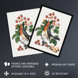 Artery8 Robin Bird & Wild Strawberry Plant Bolton Framed Wall Art Print in White - Size: A4 - thumbnail 2