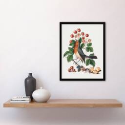 Artery8 Robin Bird & Wild Strawberry Plant Bolton Framed Wall Art Print in White - Size: A4 - thumbnail 4