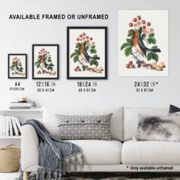Artery8 Robin Bird & Wild Strawberry Plant Bolton Framed Wall Art Print in White - Size: A4 - thumbnail 3